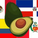 Länder mit Avocado- und Mangoproduktion