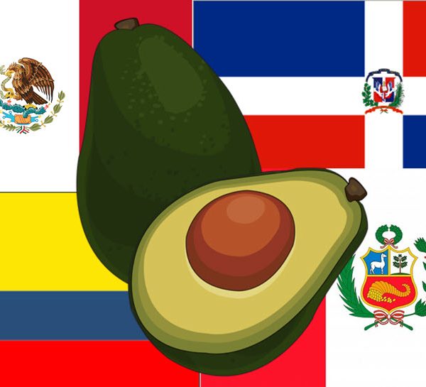 productores-mundiales-aguacates