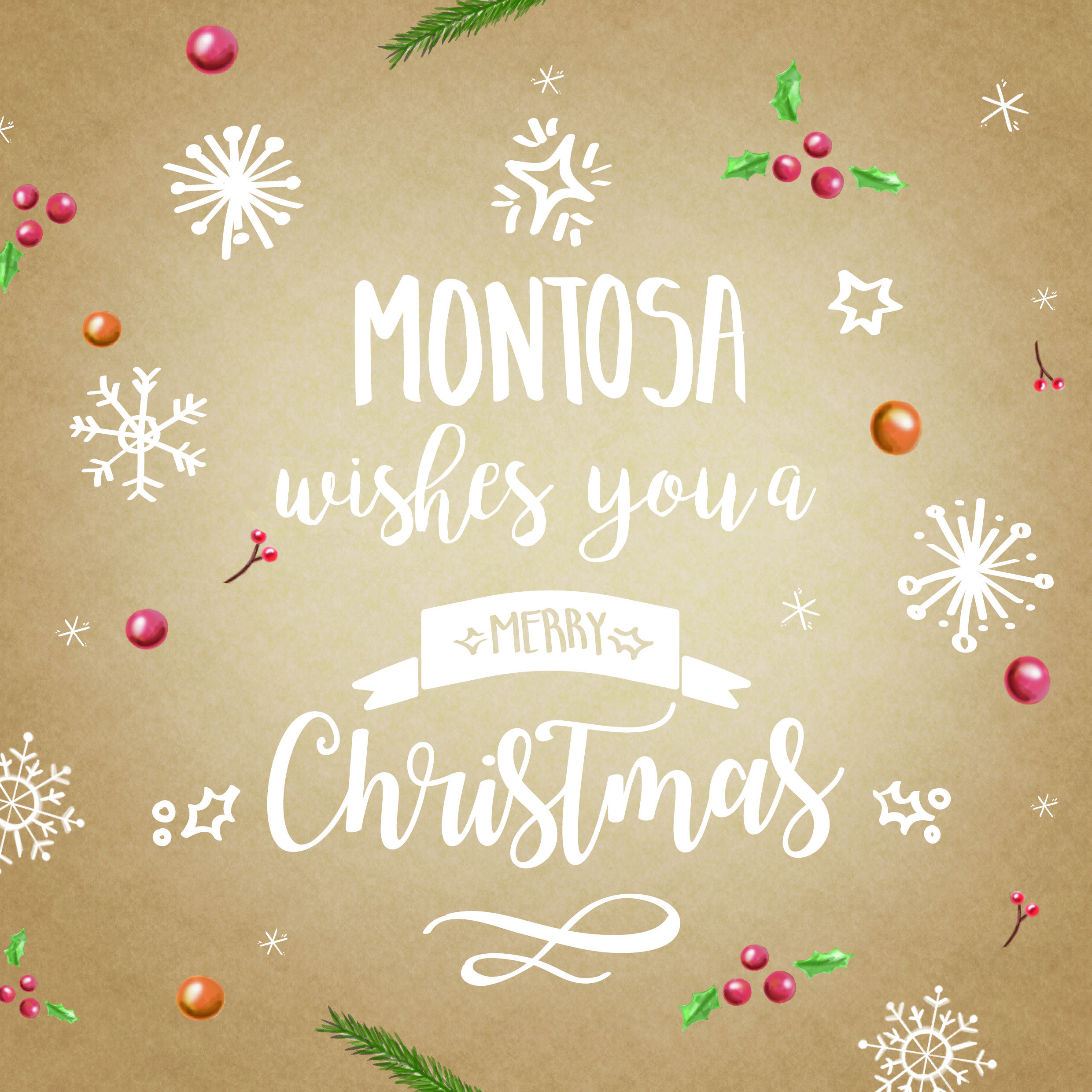 ¡Feliz Navidad!