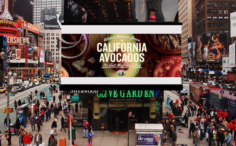 Aguacate NewYork