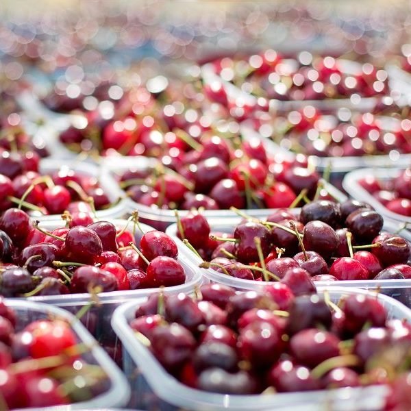 Los proveedores de frutas, también tropicales y exóticas,  más grandes que puedes encontrar, ejemplos