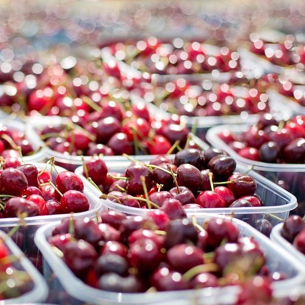 Los proveedores de frutas, también tropicales y exóticas, más grandes que puedes encontrar, ejemplos