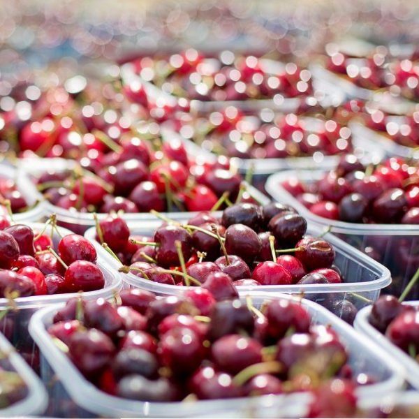 Les fournisseurs de fruits, y compris les fruits tropicaux et exotiques, les plus gros que l’on puisse trouver, par exemple