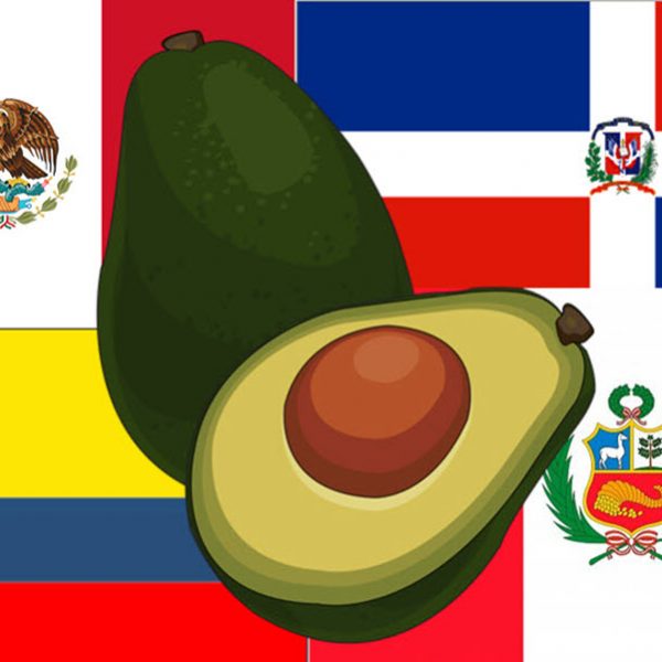 PRODUCTEURS MONDIAUX D´AVOCAT ET DE MANGUE