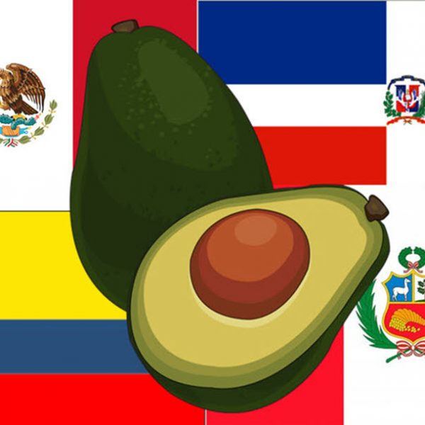 Producteurs mondiaux d’avocat et de mangue