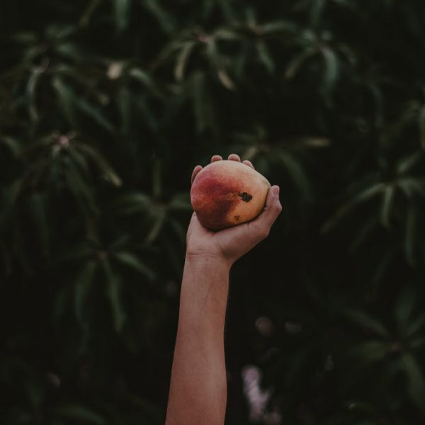 Les masques de mangue, un allié de beauté